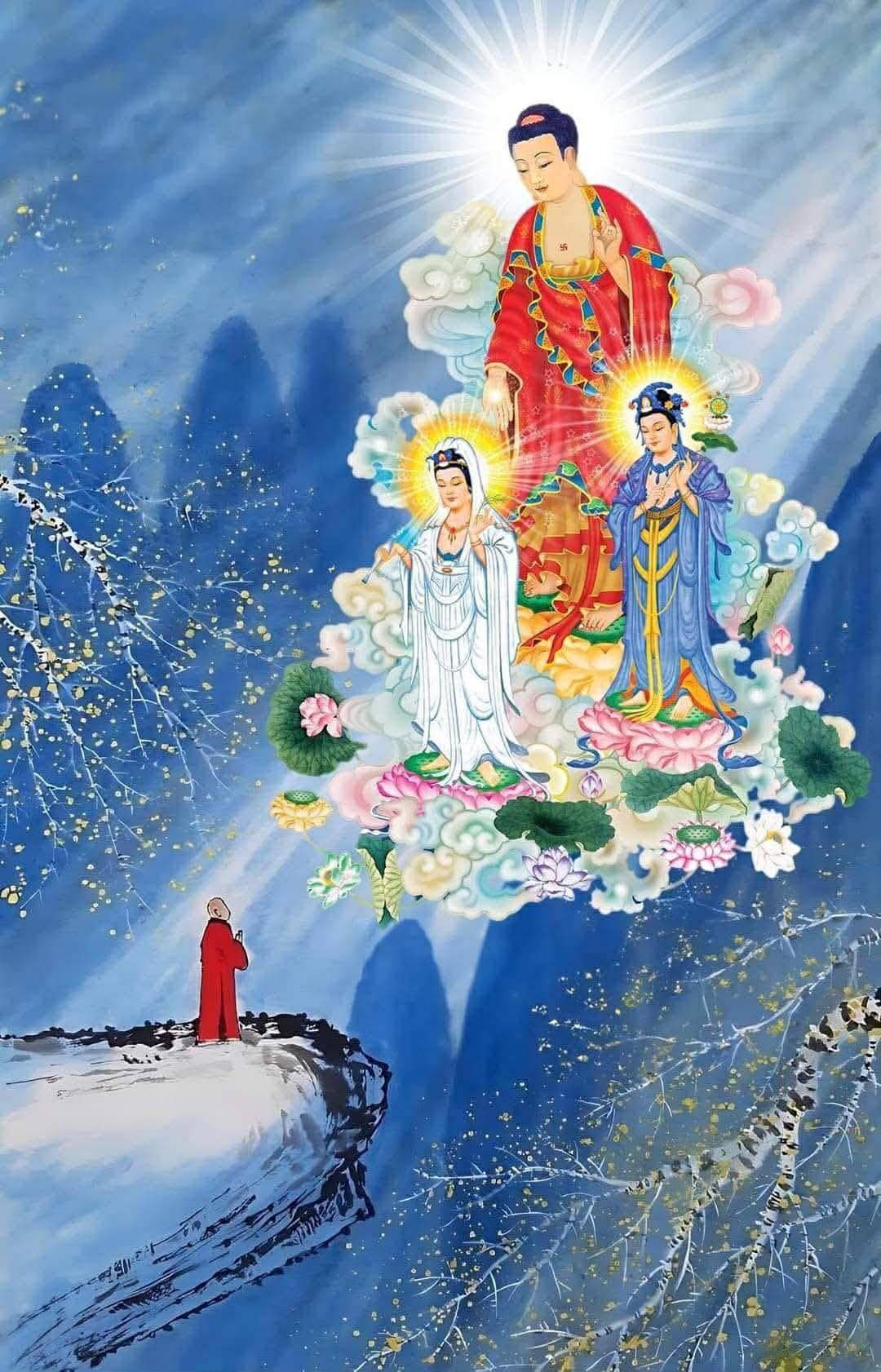 Sự Tuần Hoàn của Nhân Quả và Con Đường Giải Thoát