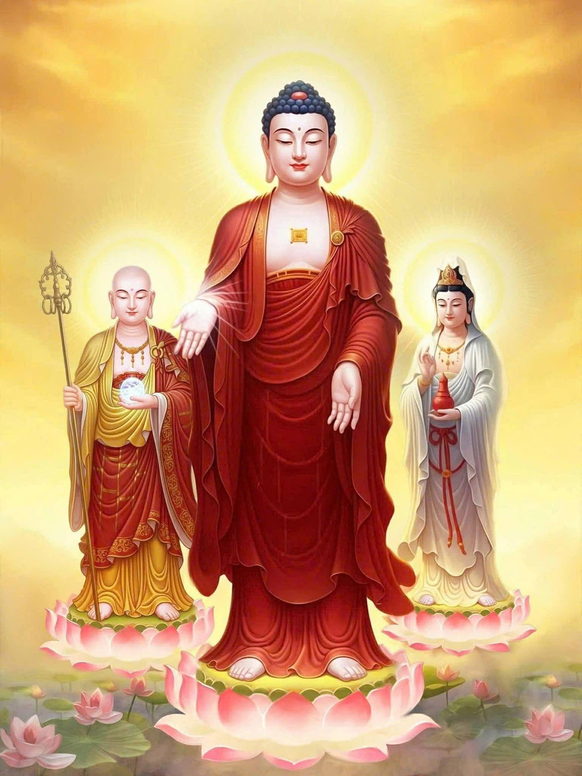 PHẬT TÁNH VỚI PHÁP LINH THIÊNG – KHƠI MỞ MINH TRIẾT GIẢI THOÁT GIỮA CUỘC ĐỜI