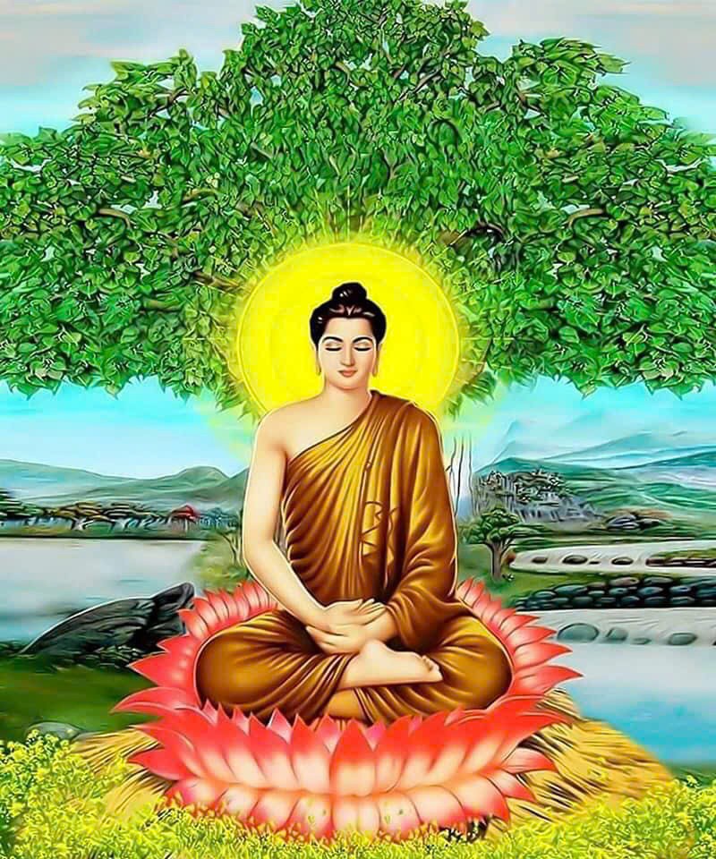 Con Đường Giải Thoát Trong Phật Giáo Tiểu Thừa – Tuệ Giác Định Hướng Bản Thể